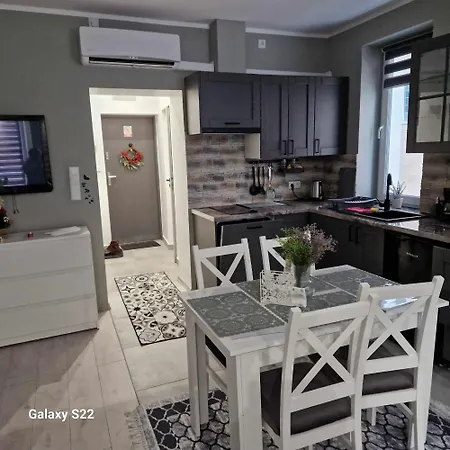 Lejlighed ,,apartament W Dusznikach,, *