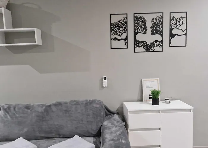 ,,apartament W Dusznikach,, Apartment Duszniki Zdroj