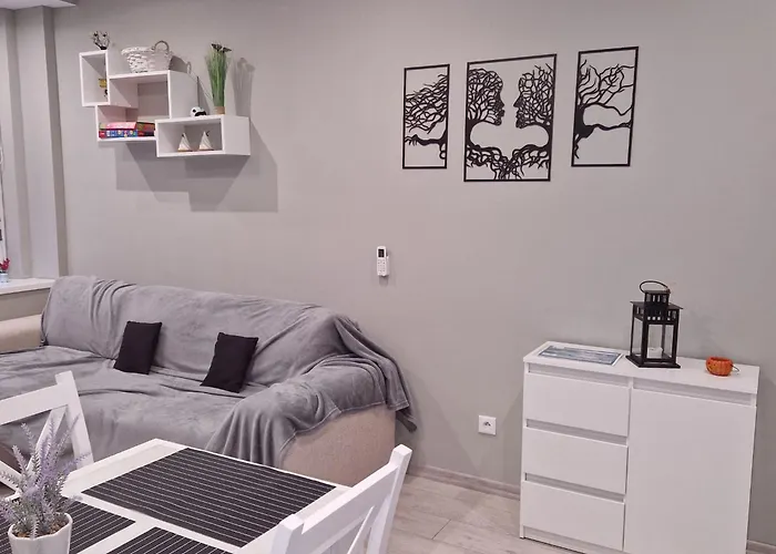 ,,apartament W Dusznikach,, Apartment Duszniki Zdroj